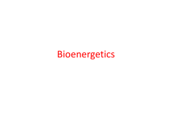 Bioenergetics