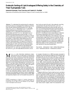 Endocytic Sorting of Lipid Analogues Differing Solely in the
