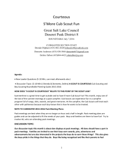 Courteous S`More Cub Scout Fun