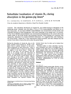 absorption in the guinea-pig ileum