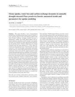 Ozone uptake, water loss and carbon exchange dynamics in