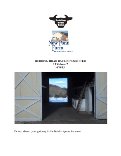 2013 Newsletter #7 - Redding Road Race