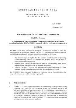 Comment - European Free Trade Association