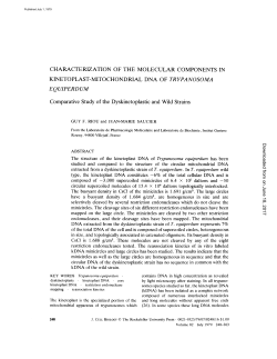 CHARACTERIZATION OF THE MOLECULAR COMPONENTS IN