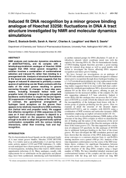 Induced fit DNA recognition by a minor groove