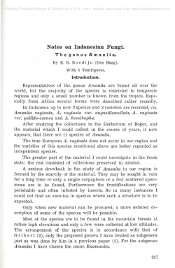 Notes on Indonesian Fungi.