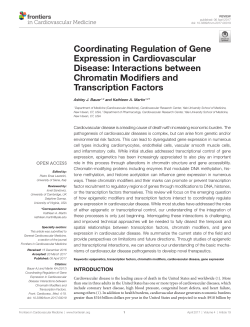 Coordinating Regulation of Gene Expression in Cardiovascular