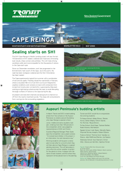 Cape Reinga Newsletter April 08.indd