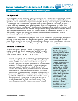 Ecology Wetland Definition Flysheet