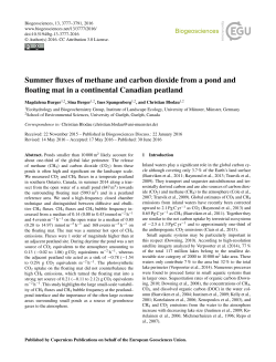 Summer fluxes of methane and carbon dioxide