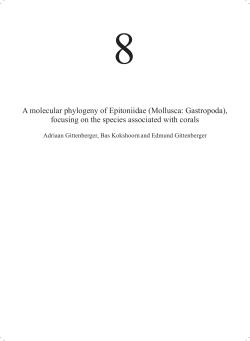 A molecular phylogeny of Epitoniidae (Mollusca: Gastropoda