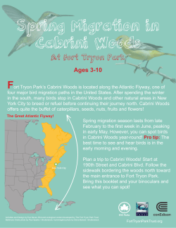 Spring Migration Worksheet (Ages 3-10)