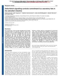 Delta-Notch signalling controls commitment to a