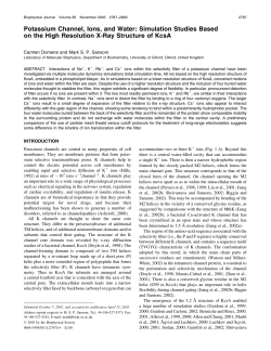 Potassium Channel, Ions, and Water: Simulation Studies Based on