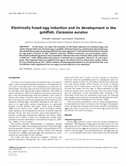 Electrically fused-egg induction and its development in the goldfish