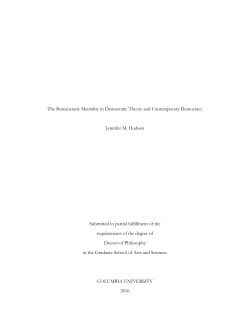 The Bureaucratic Mentality in Democratic Theory and Contemporary