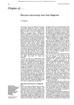 Electron microscopy and viral diagnosis
