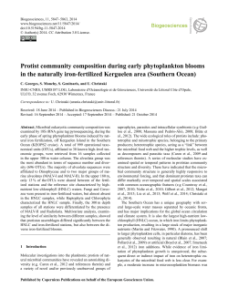 Protist community composition during early