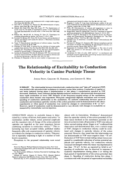 The Relationship of Excitability to Conduction Velocity in Canine