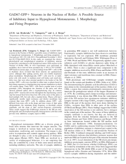 GAD67-GFP Neurons in the Nucleus of Roller: A Possible Source of