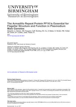 University of Birmingham The Armadillo Repeat Protein PF16 Is