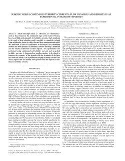SURGING VERSUS CONTINUOUS TURBIDITY CURRENTS: FLOW