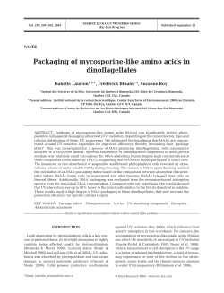 Packaging of mycosporine-like amino acids in dinoflagellates