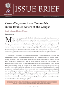 Cusec-Megawatt River Can we fish in the troubled waters of the