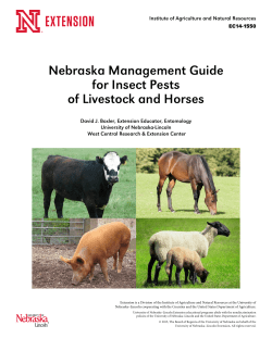 Nebraska Management Guide for Insect Pests of