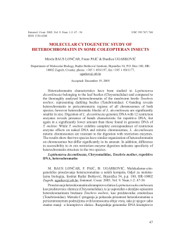 molecular cytogenetic study of heterochromatin in some coleopteran