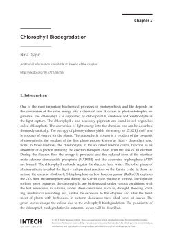 Chlorophyll Biodegradation