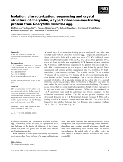 E. Touloupakis, R. Gessmann, K. Kavelaki, E - IMBB