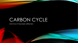 carbon cycle pregame