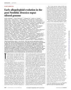 Early allopolyploid evolution in the post-Neolithic Brassica