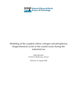 Modeling of the coupled carbon, nitrogen and phosphorus