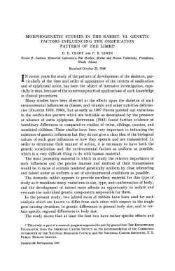 MORPHOGENETIC STUDIES IN THE RABBIT. VI. GENETIC