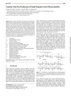 Catalytic One-Pot Production of Small Organics from Polysaccharides