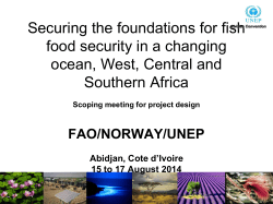 Securing the foundations for fish food security in a changing ocean