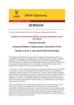 Analysis of dynamical effects during compaction band