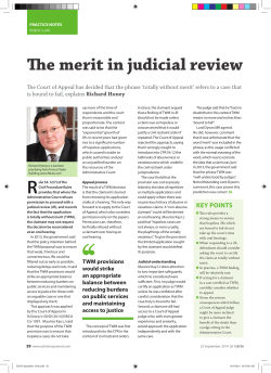 The merit in judicial review