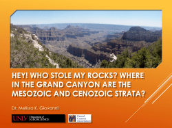 View - The Grand Canyon Association