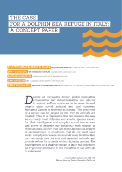 The Case for a Dolphin Sea Refuge in Italy: A Concept
