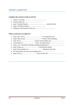 ADVERB or ADJECTIVE? - NMS