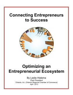 Connecting Entrepreneurs to Success Optimizing an