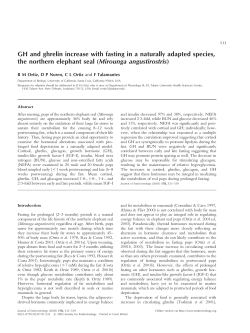 GH and ghrelin increase with fasting in a naturally