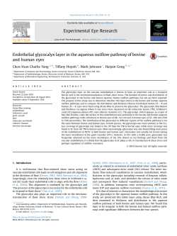 Endothelial glycocalyx layer in the aqueous outflow pathway of