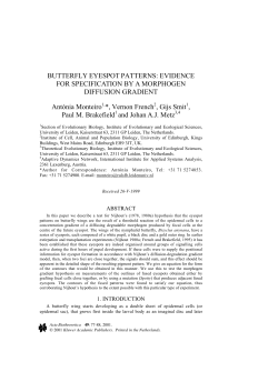 BUTTERFLY EYESPOT PATTERNS: EVIDENCE FOR