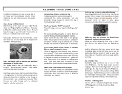 protect your hound from escaping