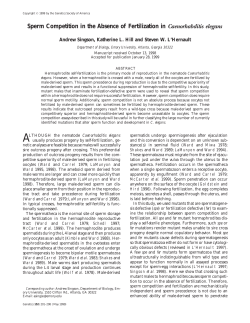 Sperm Competition in the Absence of Fertilization in Caenorhabditis