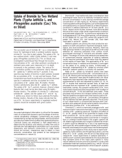 Uptake of Bromide by Two Wetland Plants (Typha latifolia L. and